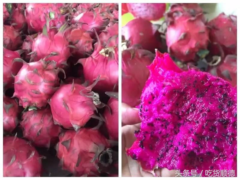 顺德有一家农庄,广东顺德生态农庄