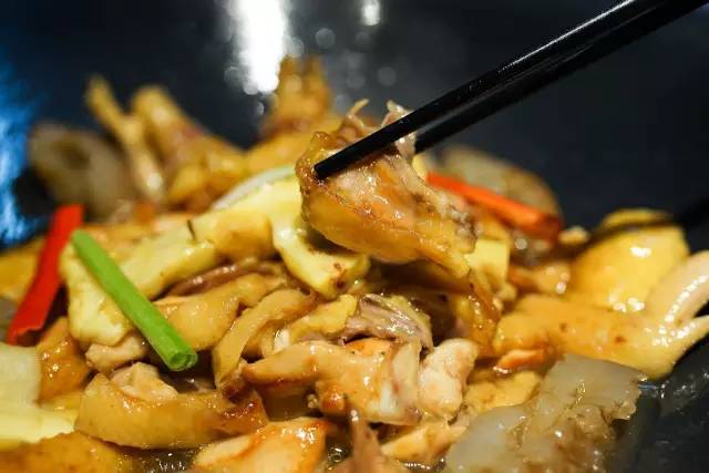 闇插彴澶氳倝鑺卞洯椁愬巺,澶氳倝妞嶇墿椁愬惂