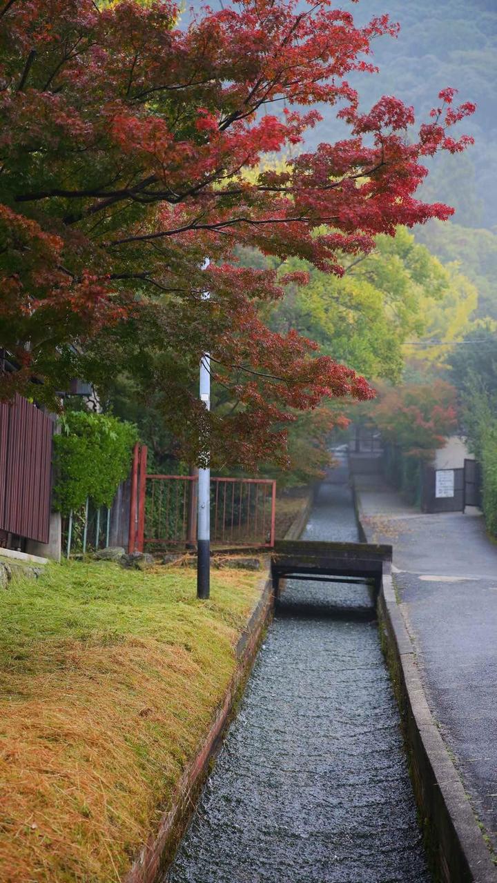 关西温泉六日游,大阪关西机场温泉