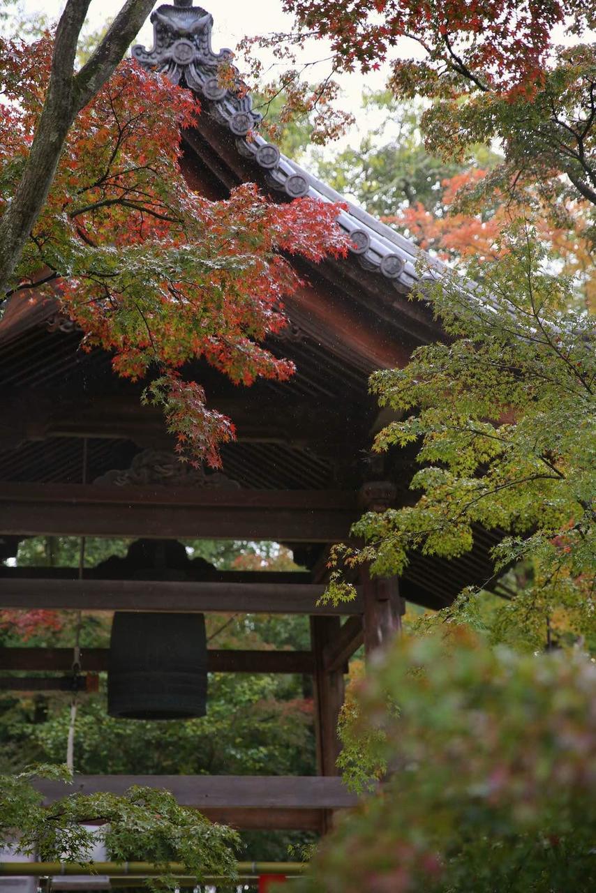 关西温泉六日游,大阪关西机场温泉