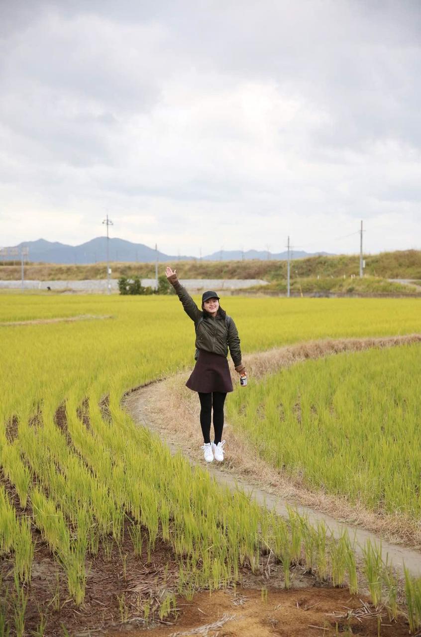 关西温泉六日游,大阪关西机场温泉