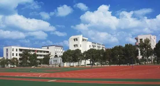 哇！一年后的瓯海瞿溪，竟然美得如此惊艳！