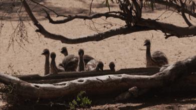 中国最孤独的酒店,世界最孤独的酒店安缦