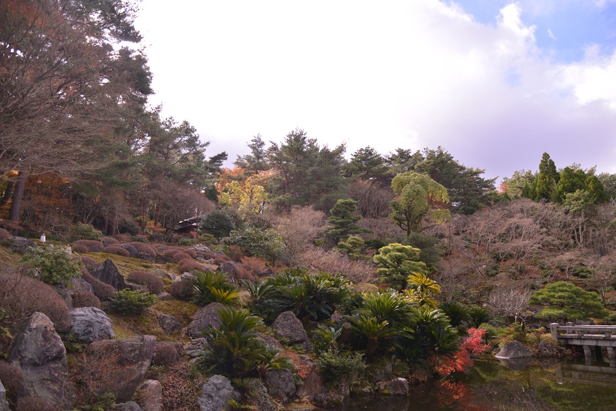 阿含桐山杯视频,阿含桐杯决赛视频完整版