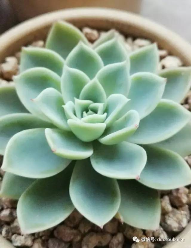 美好的时光带来快乐,美好的时光伴随着我