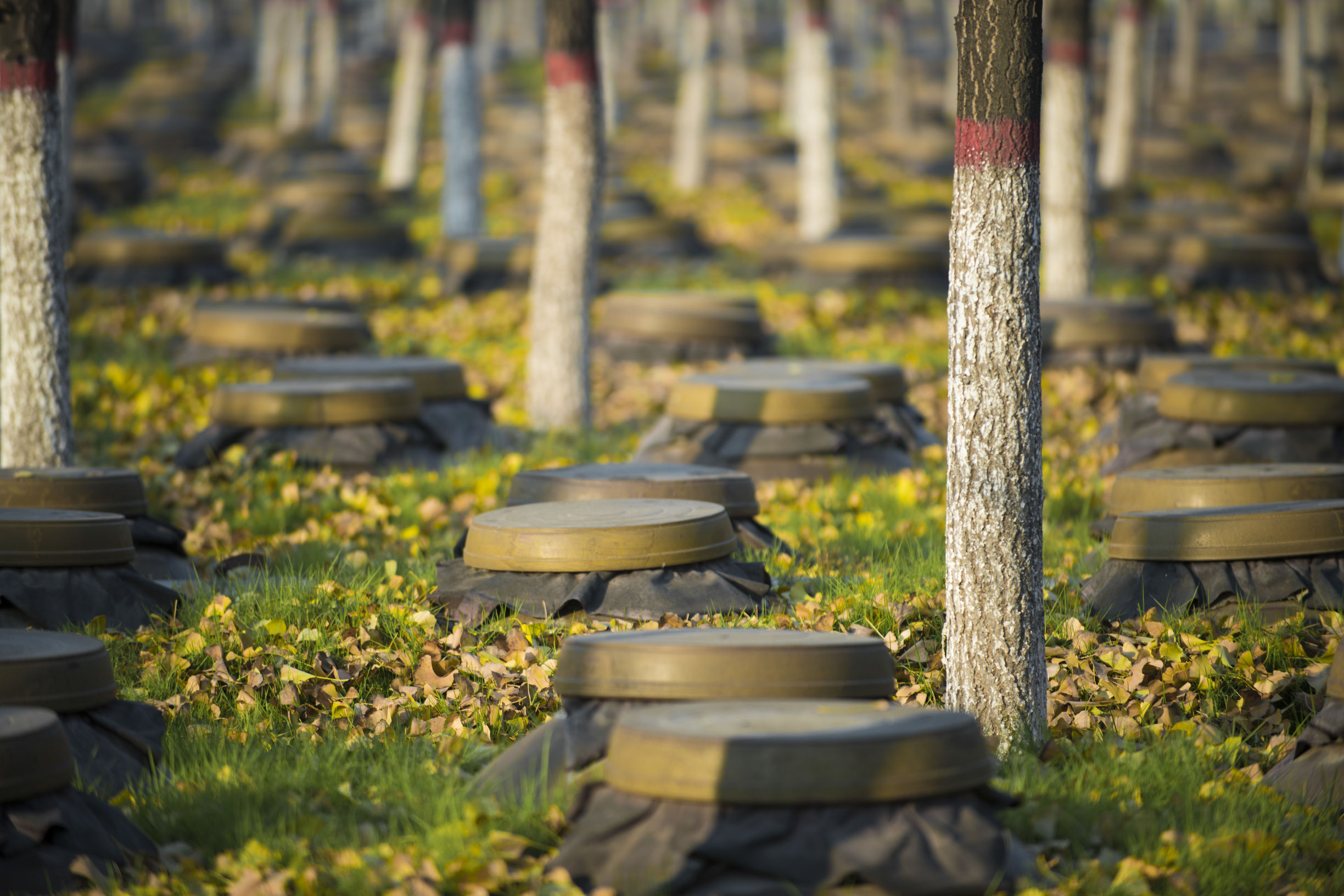 如何评价保定职中,如何评价保定旅游