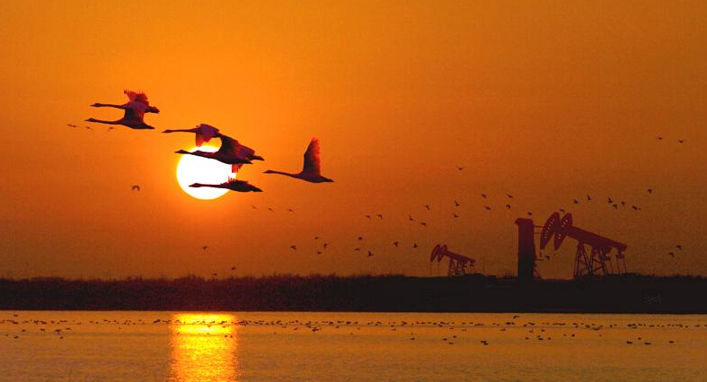 2020国庆淄博旅游景点推荐,淄博临淄一日游必去的四大景点