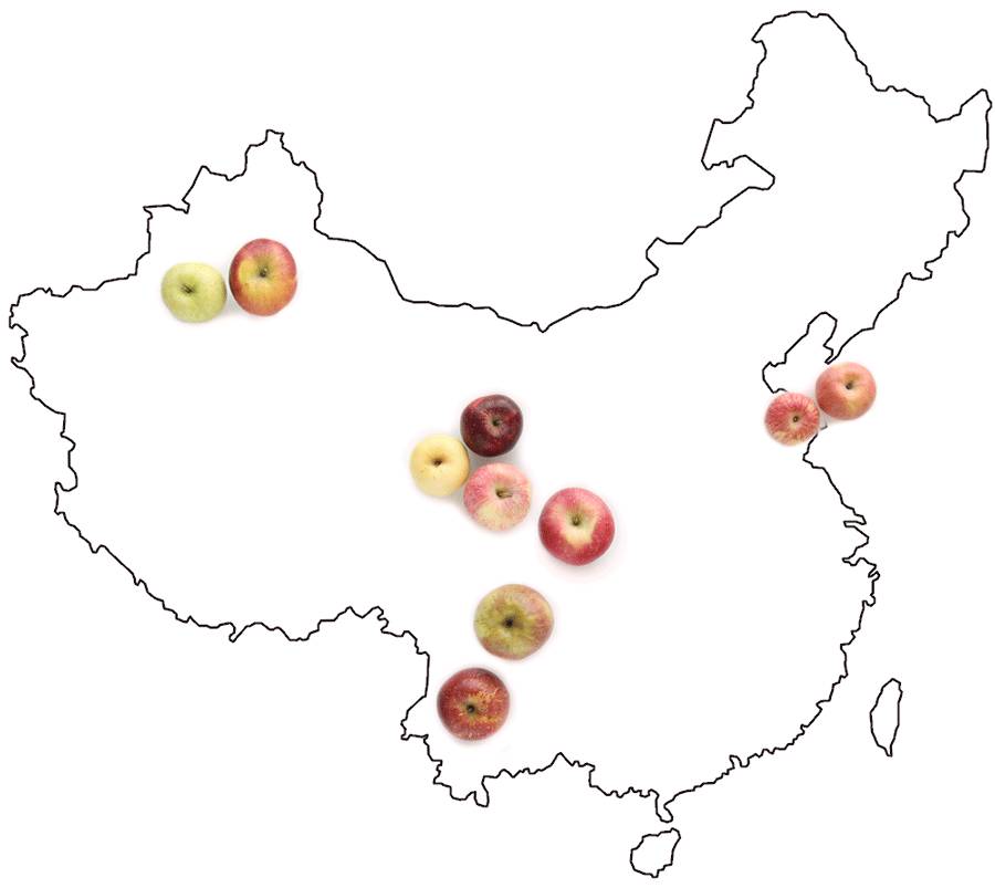 为什么说一日一苹果,一日一个苹果好处