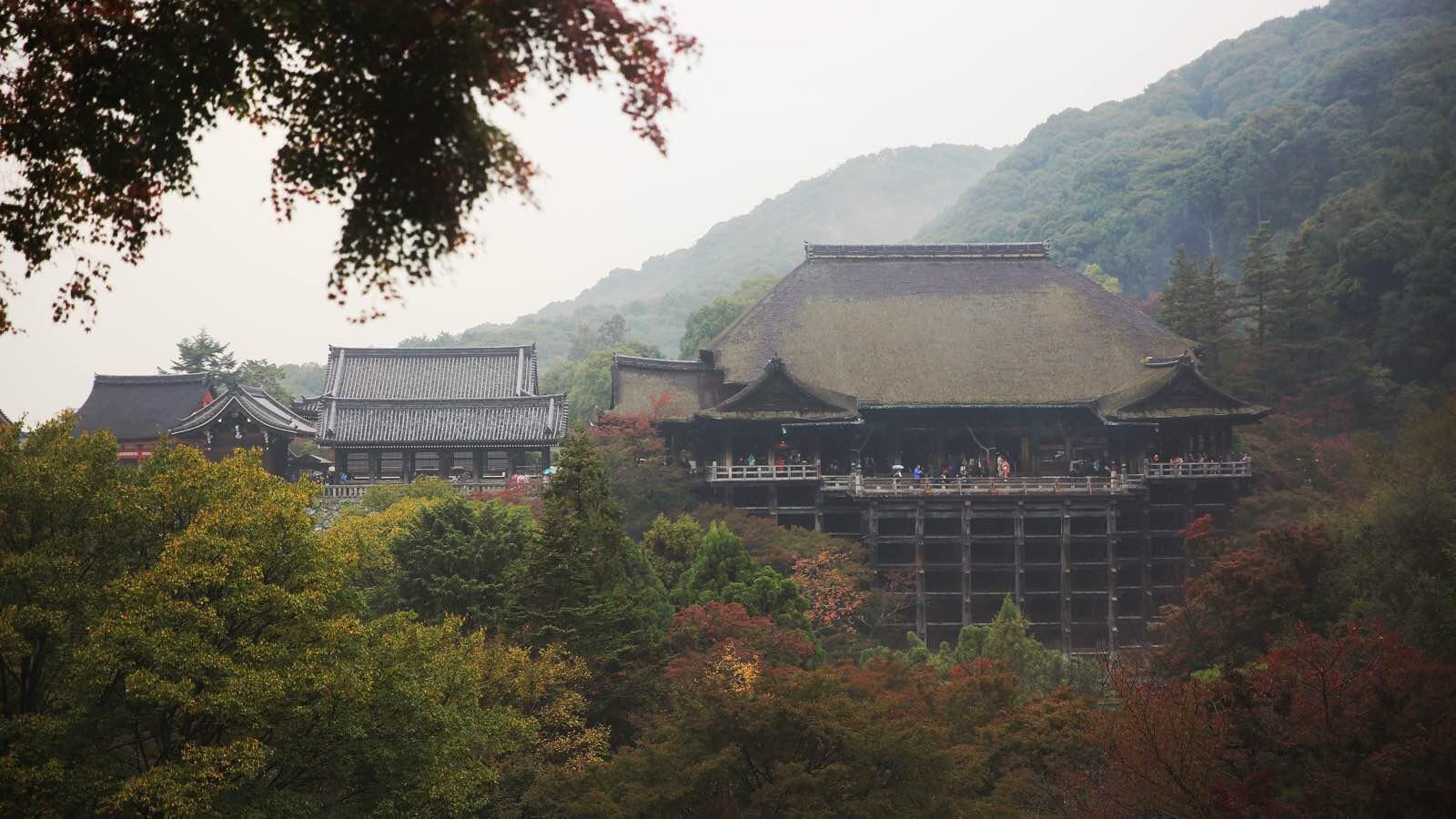 关西温泉六日游,大阪关西机场温泉