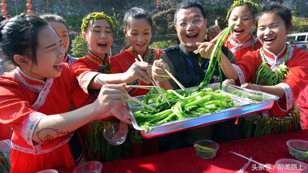 连州菜心拍卖最高价,至尊连州菜心什么价