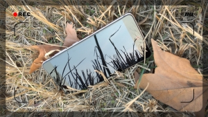 z11minis鎵嬫満,灏忔棗鑸皕11minis