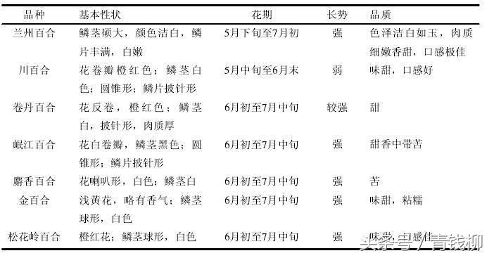 适合地栽的百合品种有哪些,百合什么品种最好养