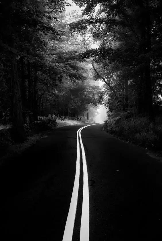 惊人的三大成功定律看完受益终生,十大社会定律让你受益终生