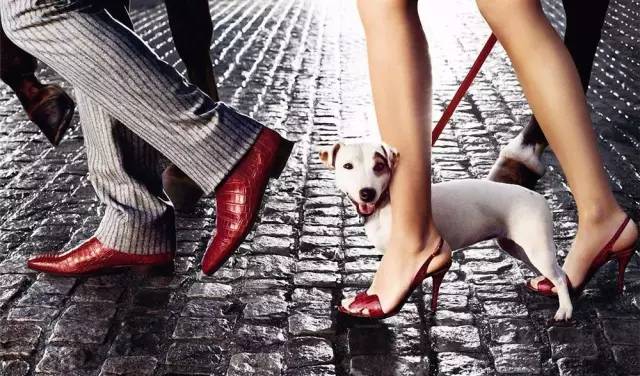 中国鞋子鞋王,中国鞋王