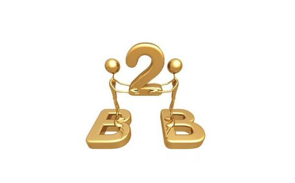 2020电商将成为最大的风口,垂直类电商现状