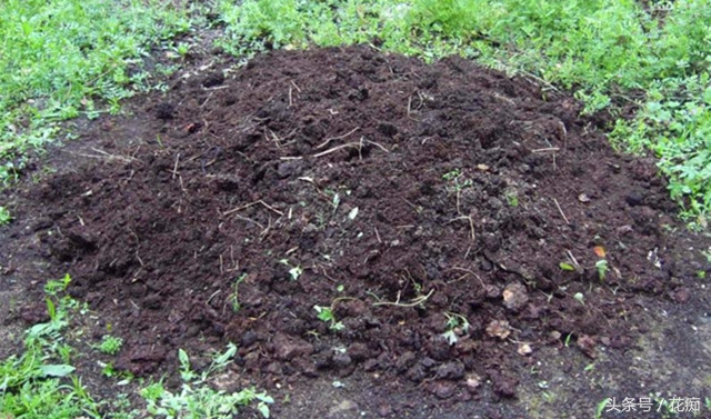 花土怎么才能养好花,花土怎么养才长得好