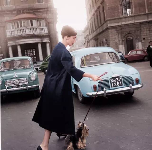 圣诞节大片,100个圣诞节短片