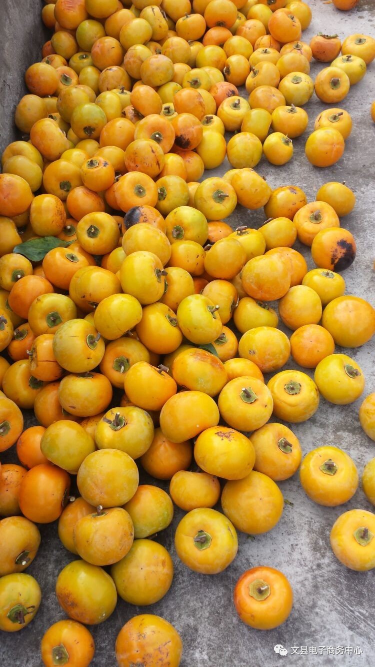 文县贾昌一个“胖子”变”瘦子“的过程