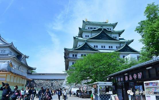 樱花旅行记全集视频,樱花季日本14天旅游攻略