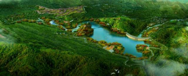 哇！一年后的瓯海瞿溪，竟然美得如此惊艳！