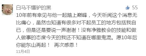 净雅张桂君法人,净雅张桂君视频