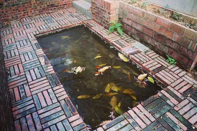 这间隐秘的书店，说要重新定义广州的美学