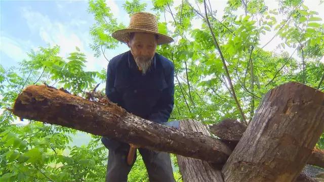 神农架自然保护区旅游攻略,神农架秘境演出值得看吗