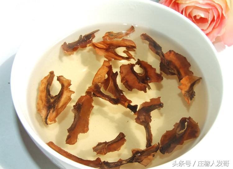 生活中常见的它竟有这些小妙用,这些扔掉的生活垃圾竟然都是宝