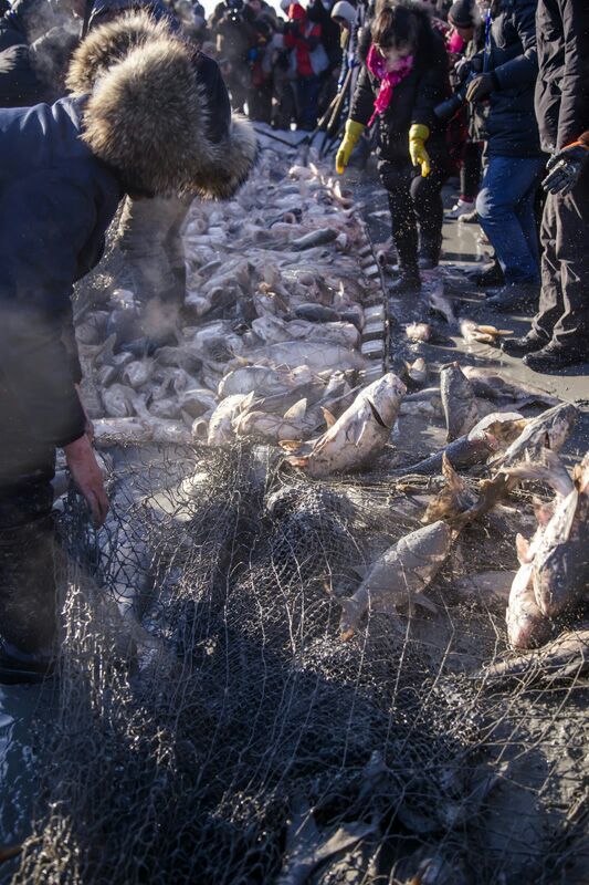 查干湖冬捕纪录片全集,查干湖冬捕地点在哪里