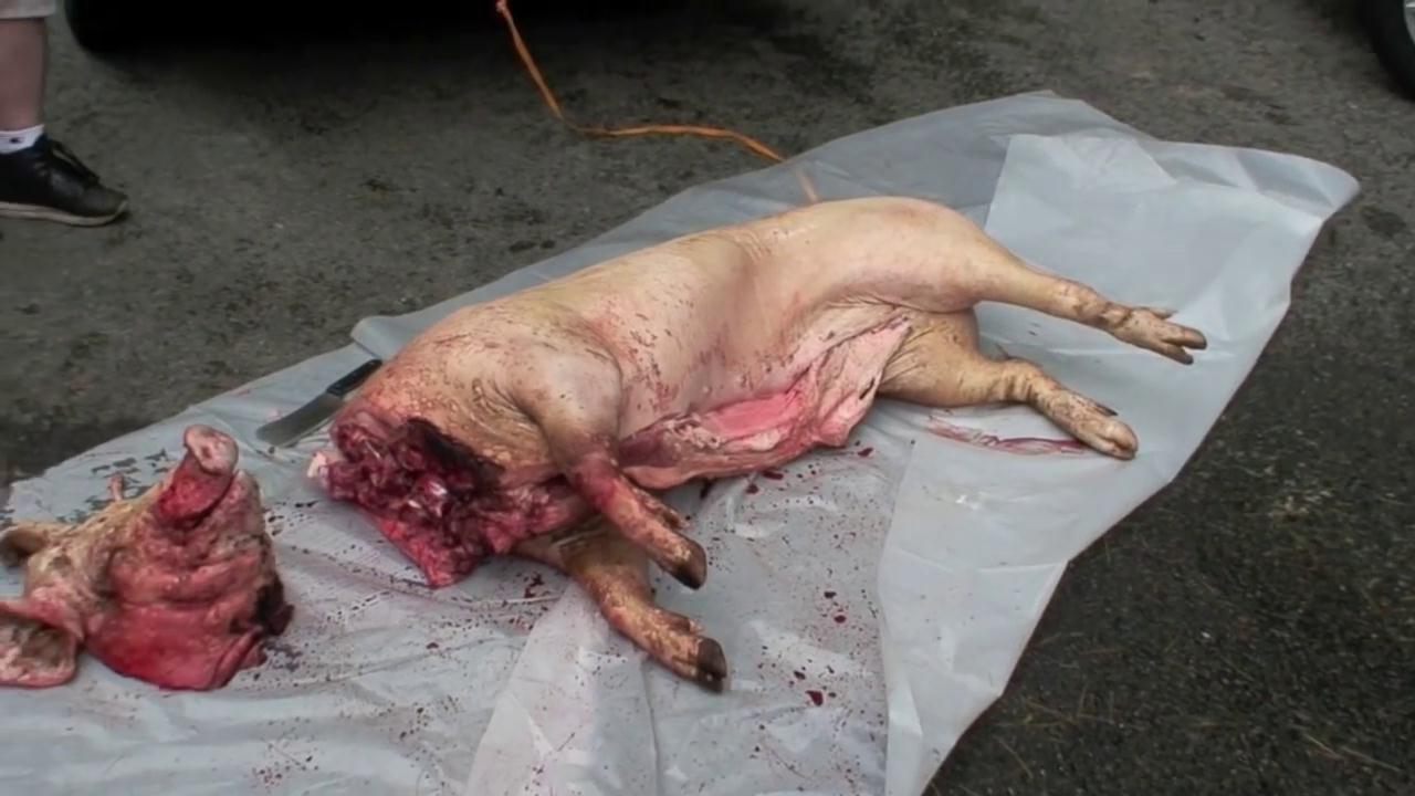 美国土豪烤全牛,广东烤全猪的秘方配料全过程