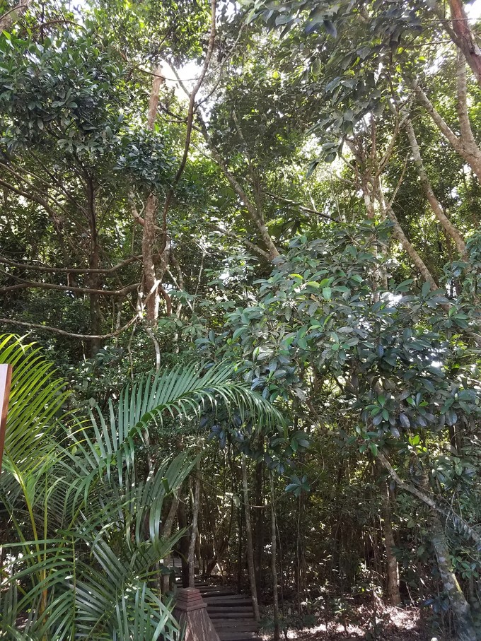 海南三亚雾霾,三亚雾霾