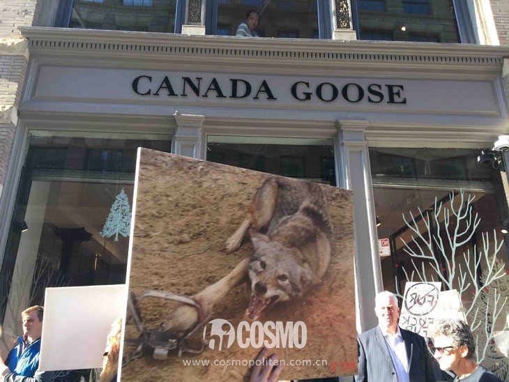 比雪地靴还好的鞋,canadagoose哪款是鹅绒