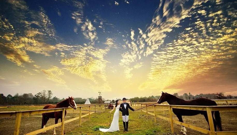 青白江，一个幸福感爆棚的城市，因为我们这样生活……