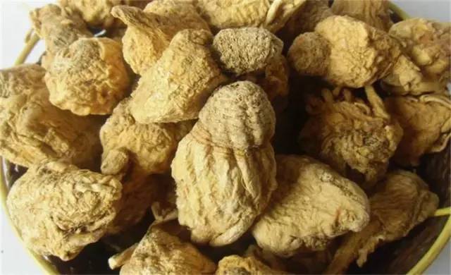 坐着飞机去度假,坐着飞机去过年