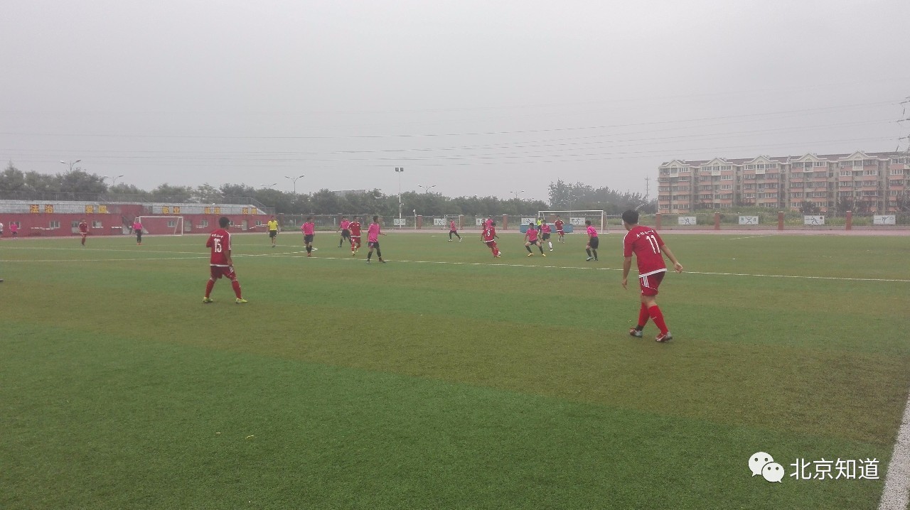 热烈祝贺我校足球代表队喜获佳绩,小学足球队挺进全市8强