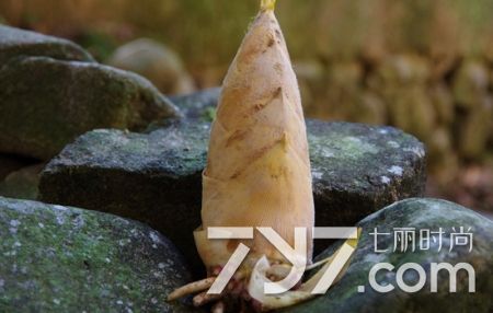 冬笋发霉可以吃吗有毒吗,新鲜的冬笋底部发霉了还能吃吗