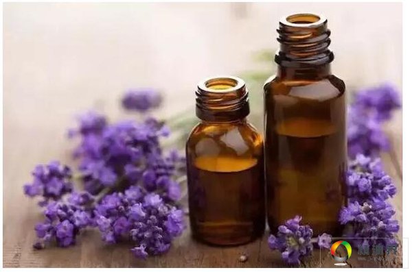 精油排毒真的有效吗,长高精油真的有效吗