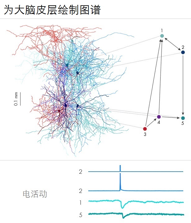 揭开人脑思维的奥秘,揭开大脑思维的奥秘