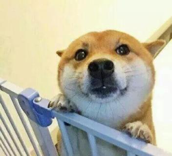 春节抢票哪个软件最好,过年了抢票攻略你必须get