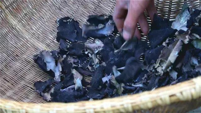 神农架自然保护区旅游攻略,神农架秘境演出值得看吗