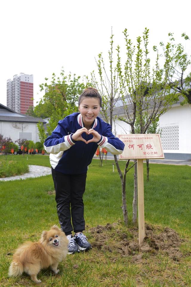 保定体育学校有哪些,保定市体育运动学校地址电话
