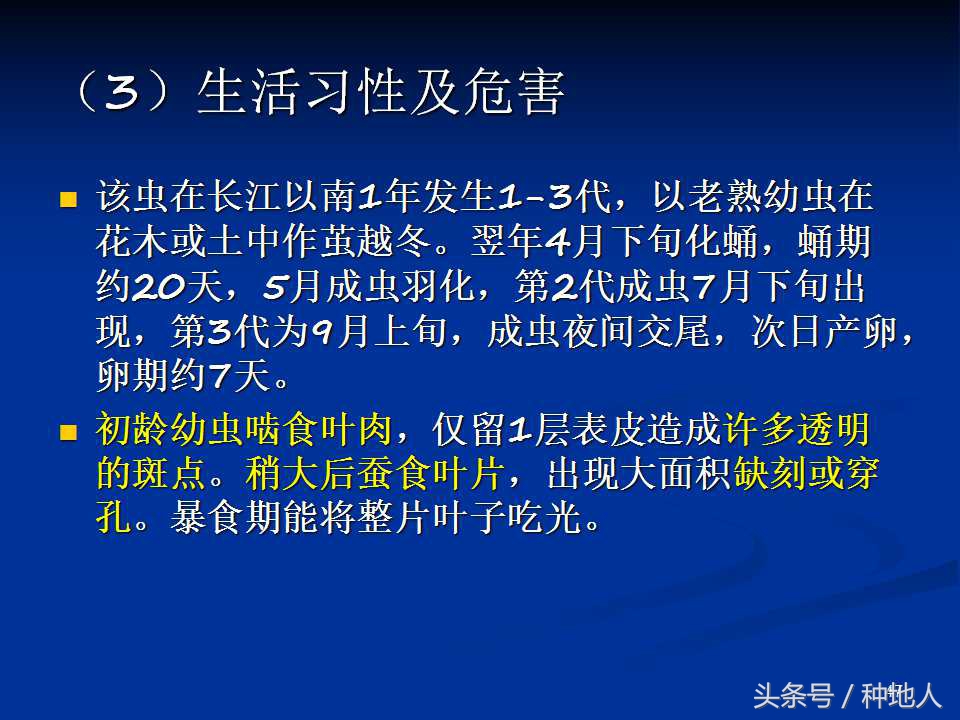 会吃叶子的虫子有哪些,哪些虫子爱吃树叶虫