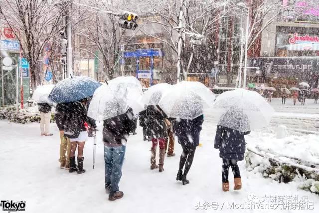 袜子高帮羊毛袜,长筒袜棉袜加绒