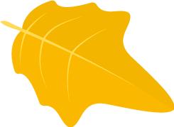 冬天孕妇洗澡对胎儿有影响吗,孕妇睡觉影响胎儿发育吗