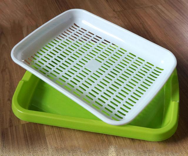 蔬菜怎么吃最健康,绿色健康蔬菜菜谱