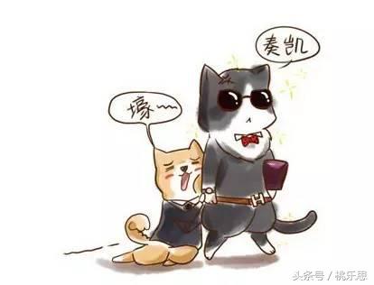 上海深坑酒店的有利条件,上海深坑五星酒店现在怎么样了