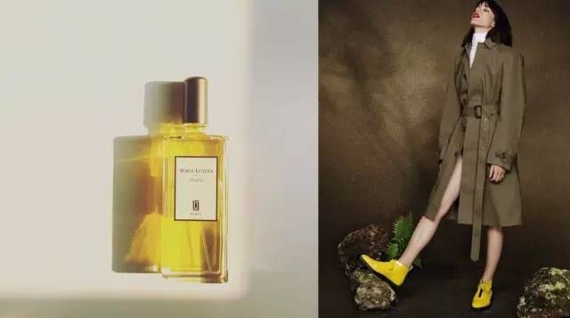 祖马龙芦丹氏,祖马龙芦丹氏阿蒂仙