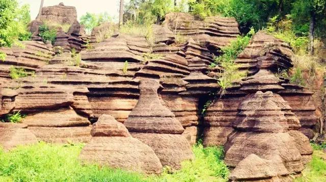 最著名的古丈毛尖茶品牌,中国十大名茶古丈毛尖