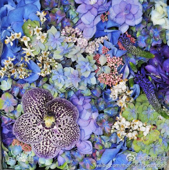 鏈変粈涔堢粡涔呬笉琛扮殑鍝佺墝,閭ｄ簺涓嶄负浜虹煡鐨勯《绾уア渚堝搧鍝佺墝