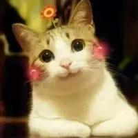 学习驾驶证明有效期不足六个月,学习驾驶证明的有效时间